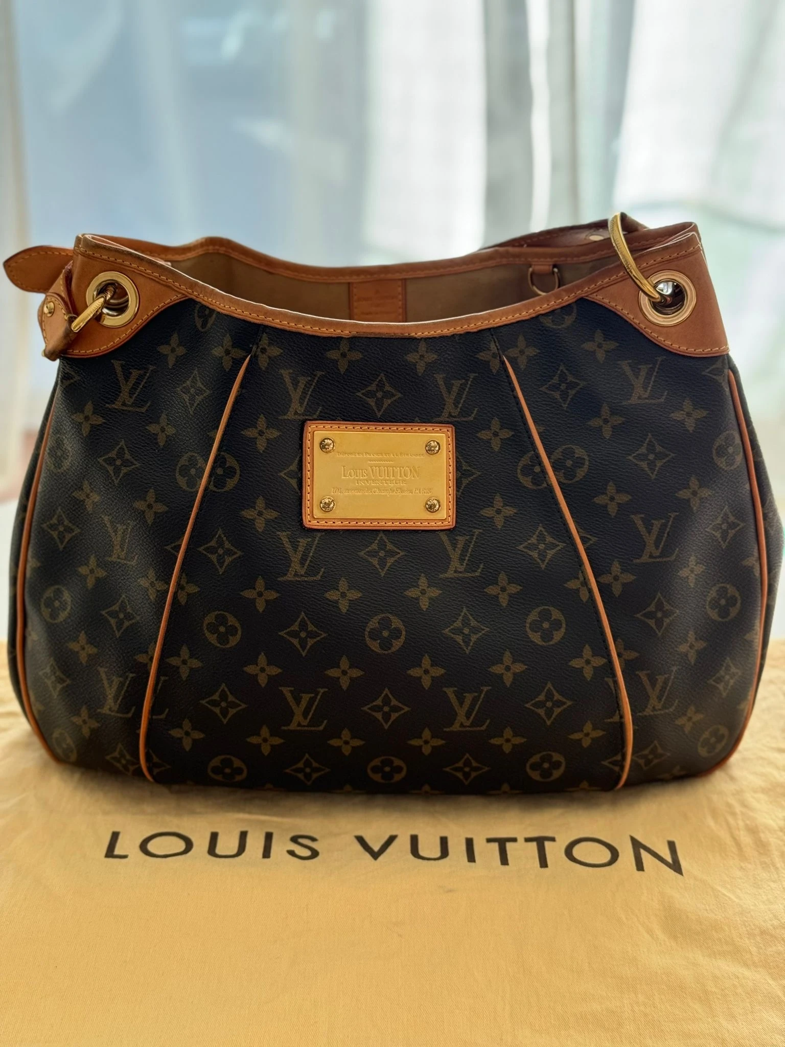 Louis Vuitton Galliera, guter Zustand | LOOP Marketplace