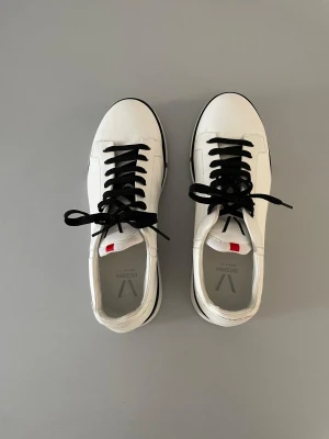 V Design Sneakers | LOOP Marketplace