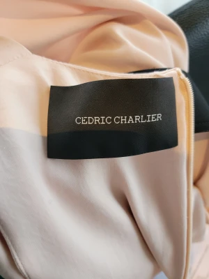 Cedric Charlier Kleid | LOOP-Marktplatz