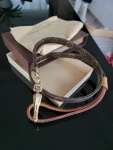 Hundeleine Louis Vuitton