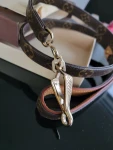 Hundeleine Louis Vuitton