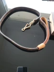 Hundeleine Louis Vuitton