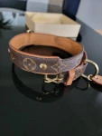 Louis Vuitton Hunde Halsband
