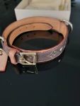 Louis Vuitton Hunde Halsband