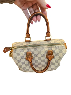 Louis Vuitton Speedy 25 | LOOP Marketplace