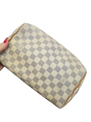 Louis Vuitton Speedy 25 | LOOP Marketplace