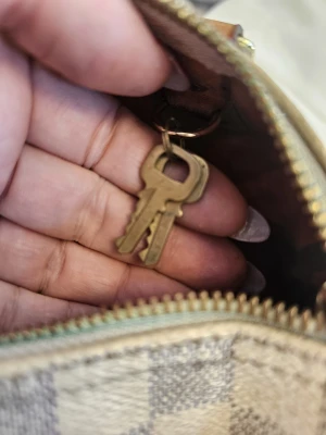 Louis Vuitton Speedy 25 | LOOP Marketplace