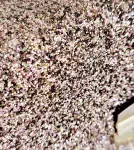 Neuwertige Kate Spade Tasche