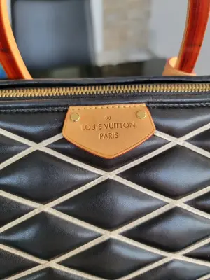 Louis Vuitton Speedy Doc Malletage | LOOP Marketplace