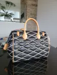 Louis Vuitton Speedy Doc Malletage