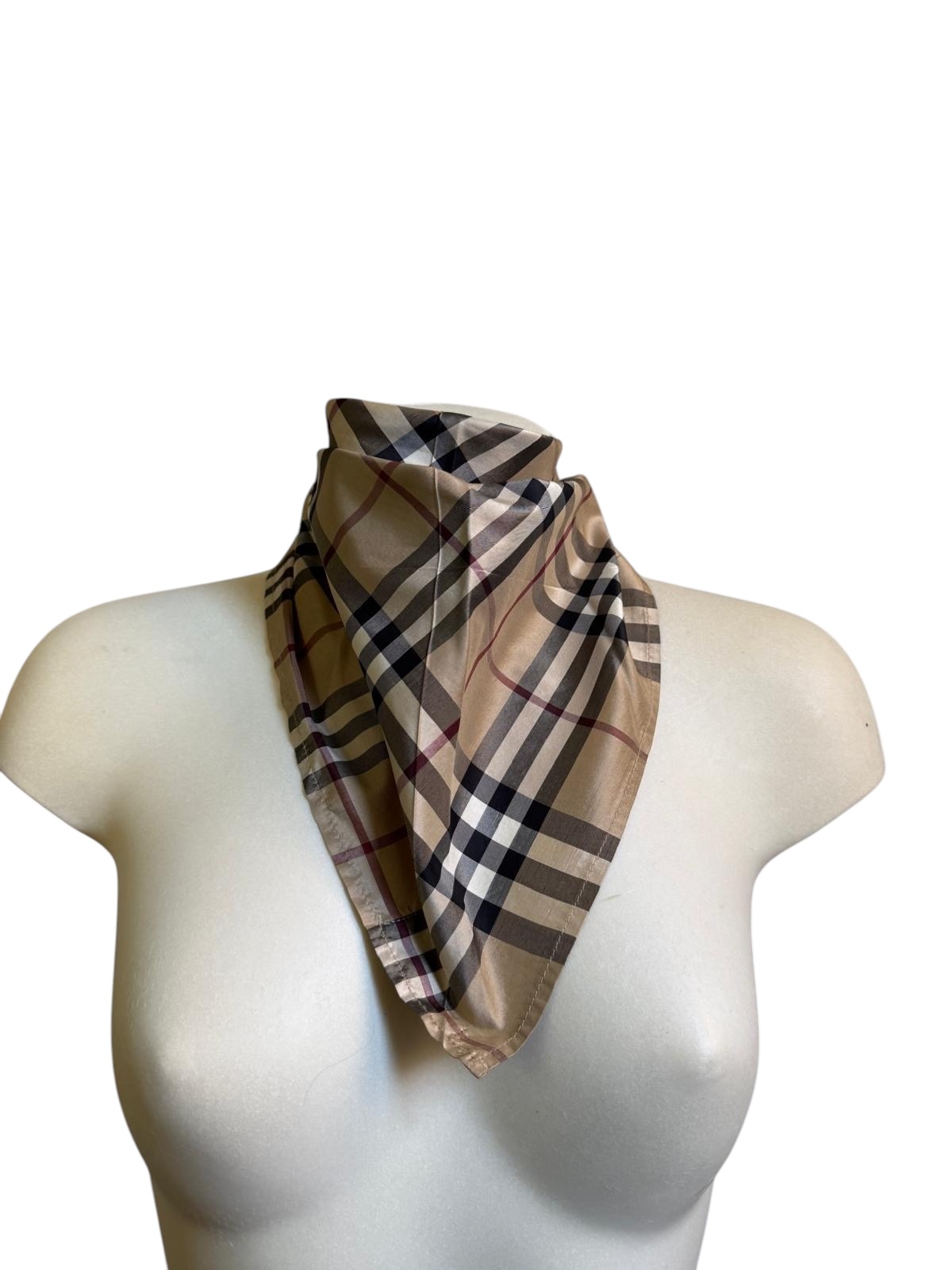 Burberry scarf