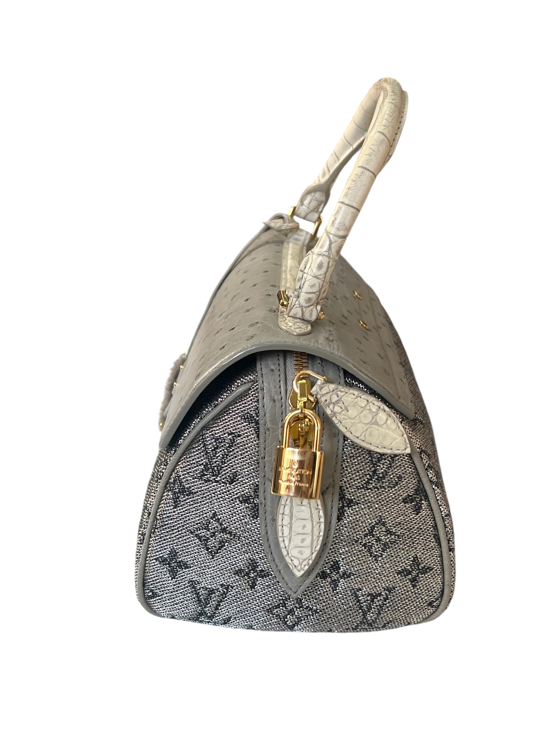 Louis Vuitton bag