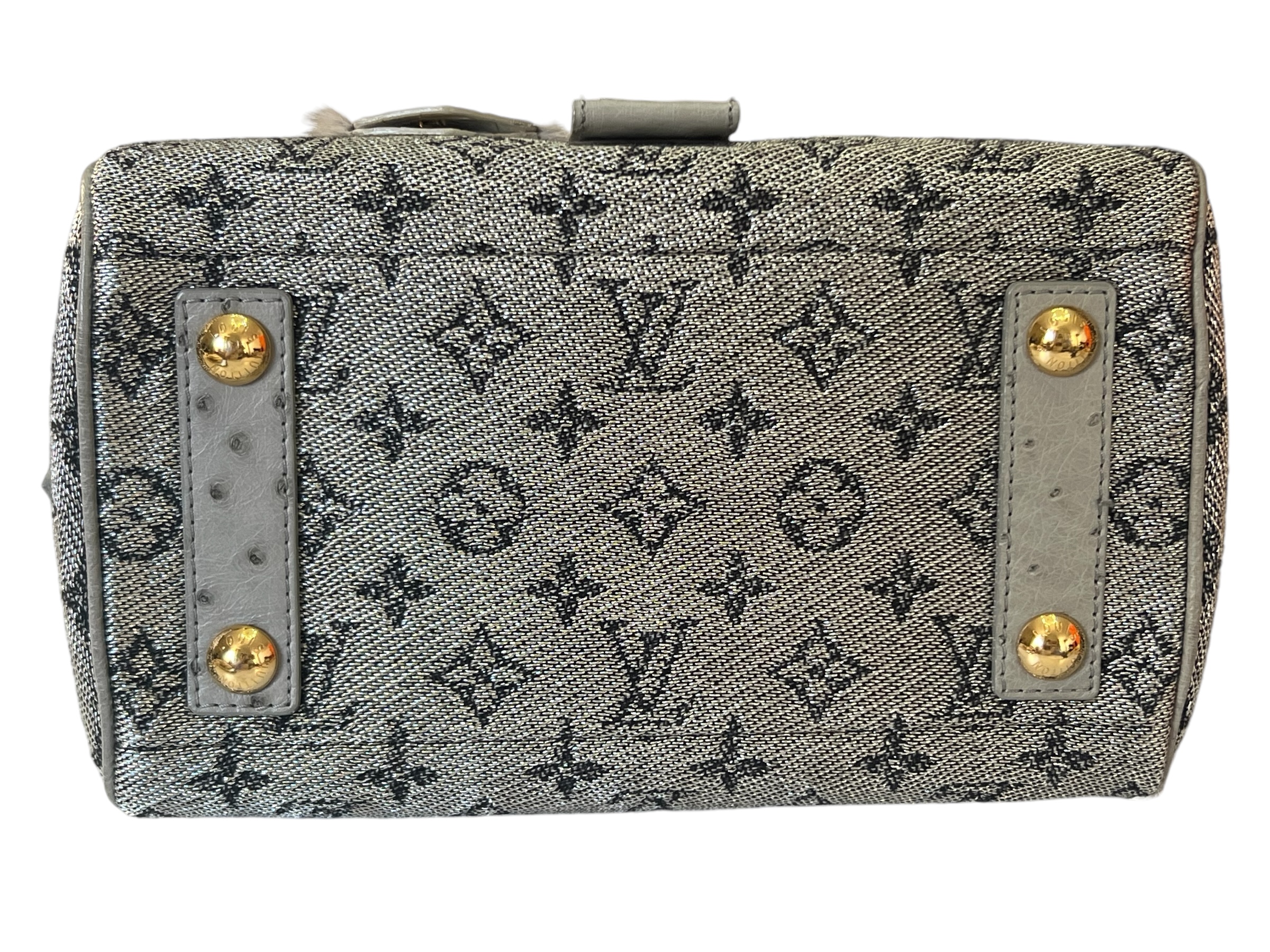 Louis Vuitton bag | LOOP-Marktplatz