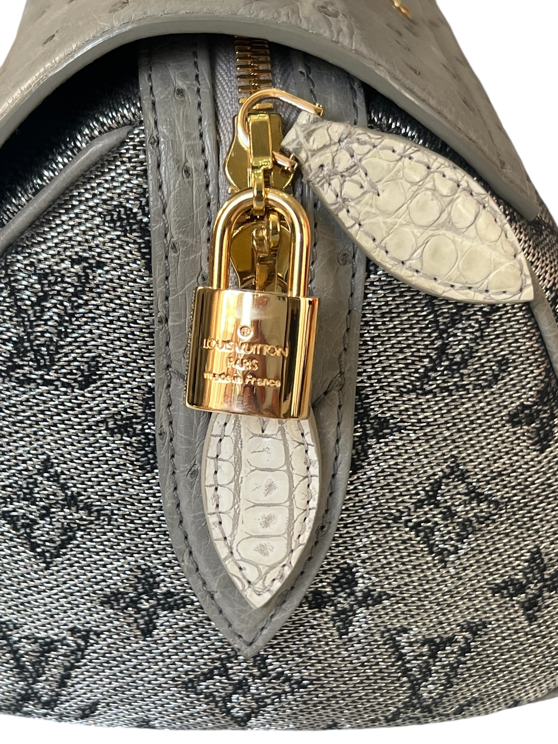 Louis Vuitton bag | LOOP-Marktplatz