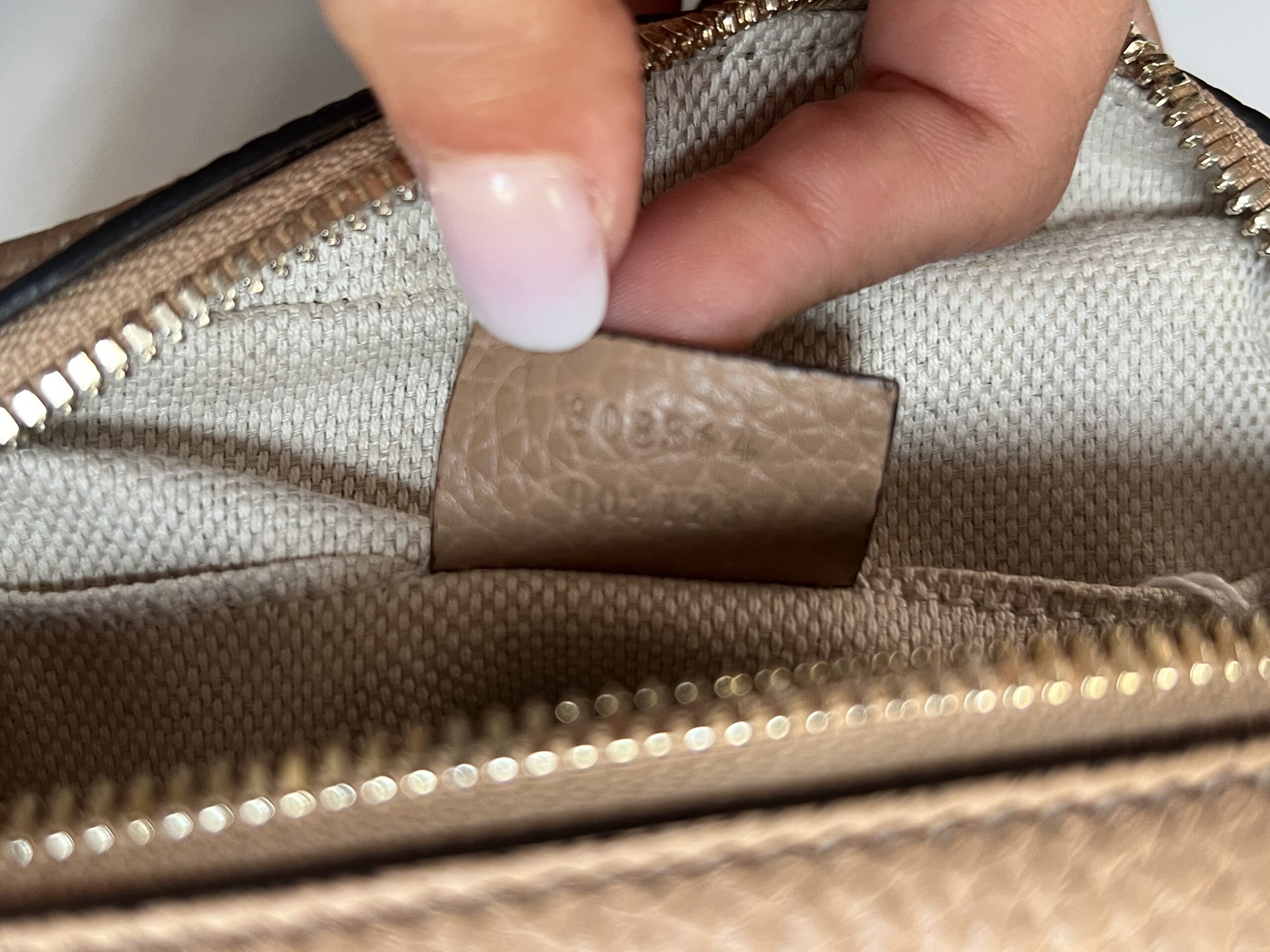 Gucci Camera Bag