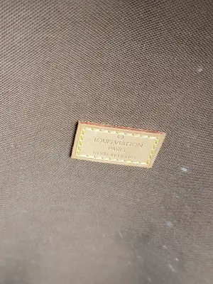 Louis Vuitton Tasche/ Rucksack Packall | LOOP Marketplace