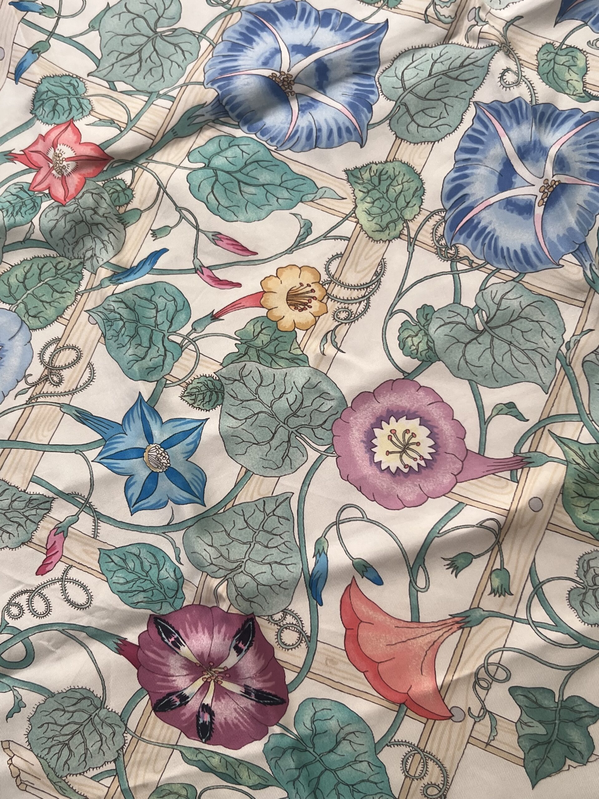 Gucci V.Accornero square