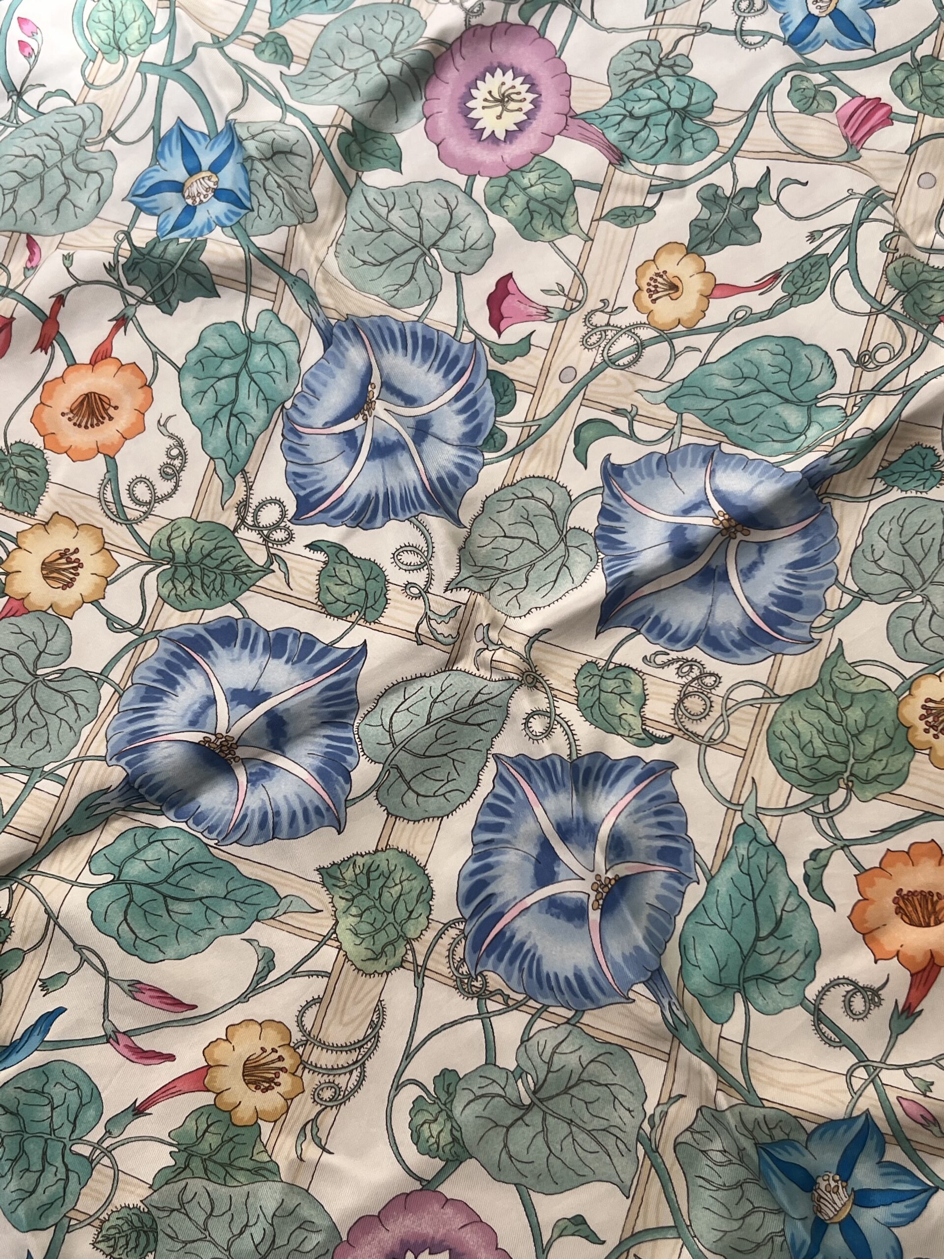 Gucci V.Accornero square