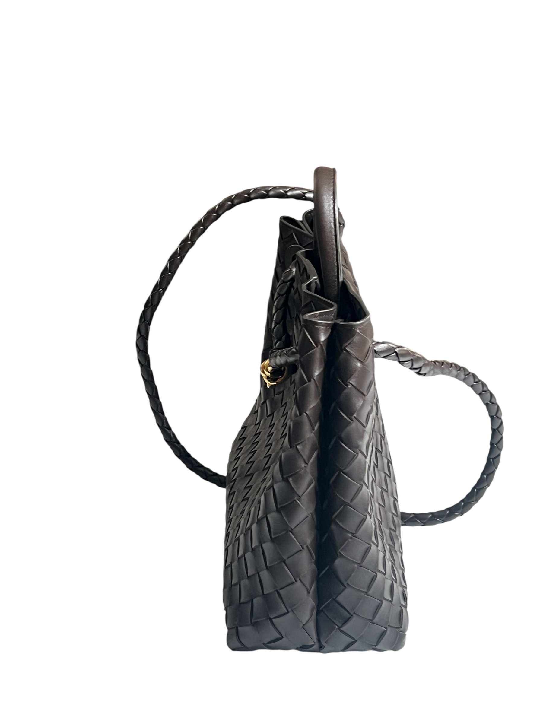 Bag Bottega Veneta Andiamo