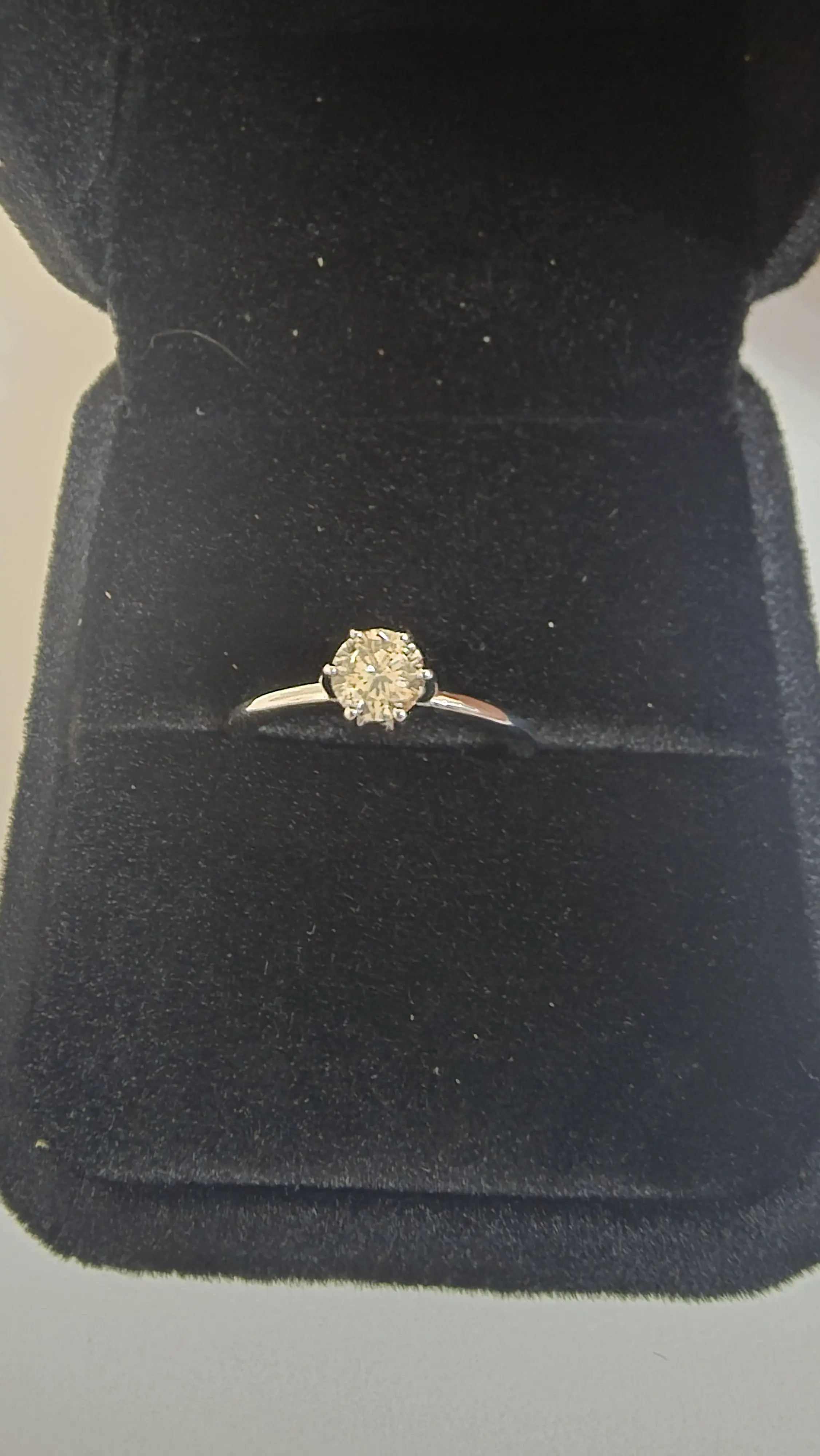 Oro bianco e diamante naturale | LOOP-Marktplatz