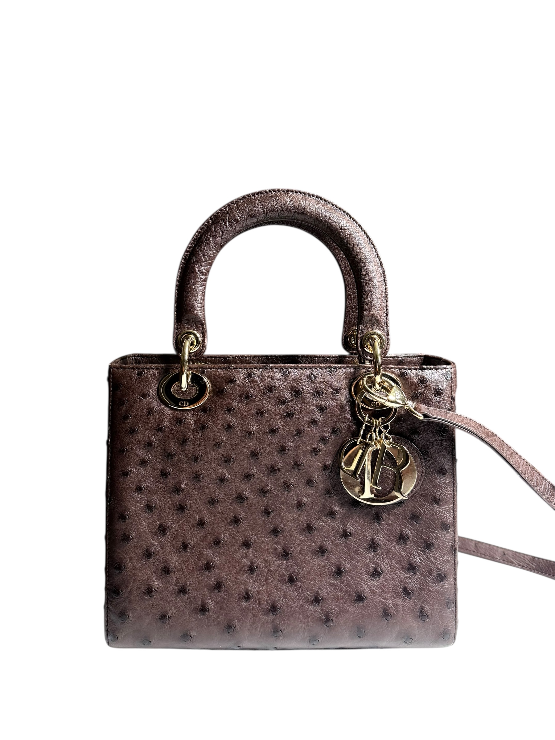 Lady Dior handbag | LOOP Marketplace