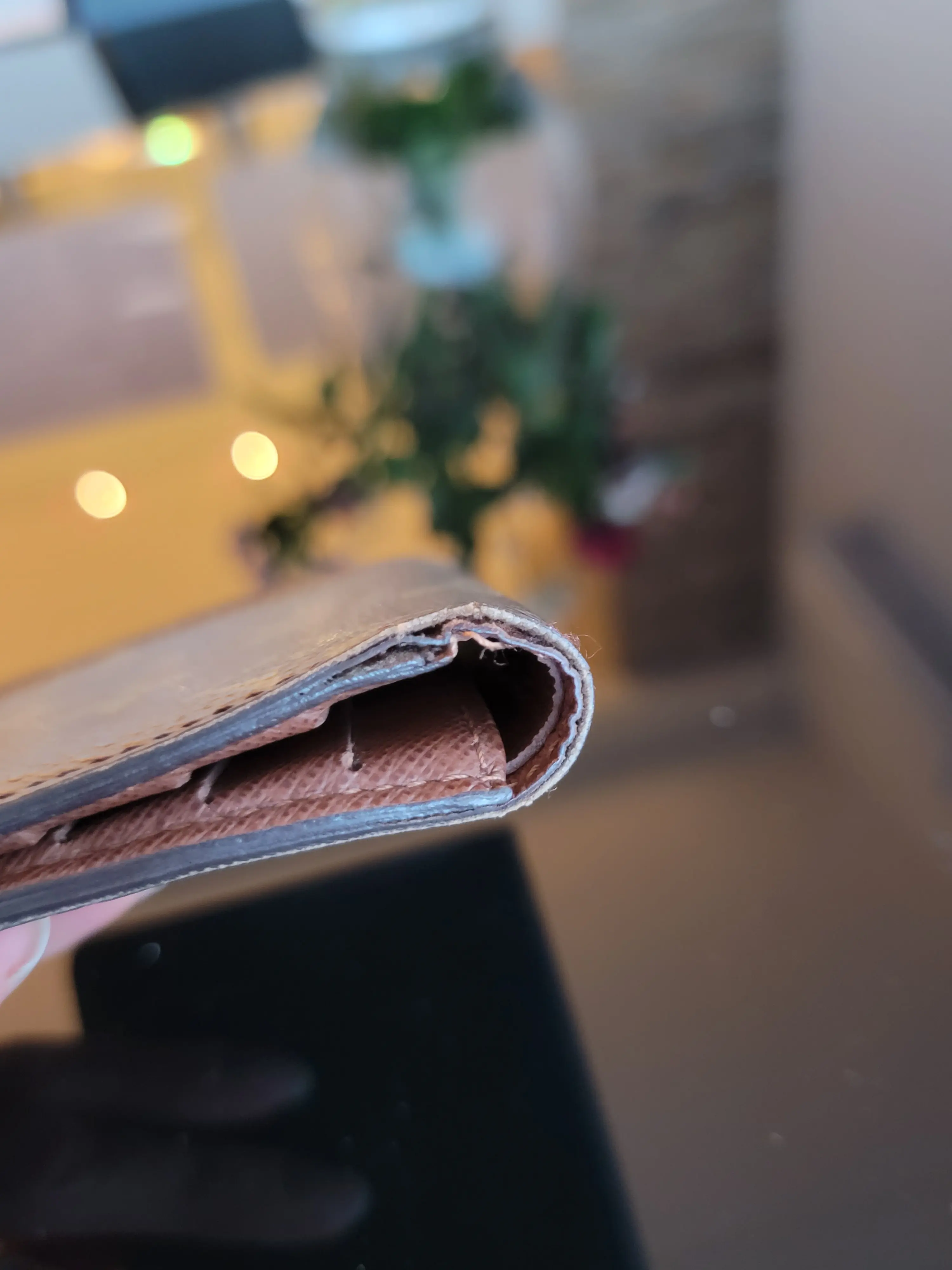 LOUIS VUITTON Portemonnaie | LOOP Marketplace