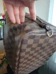 LOUIS VUITTON Neverfull MM Damier