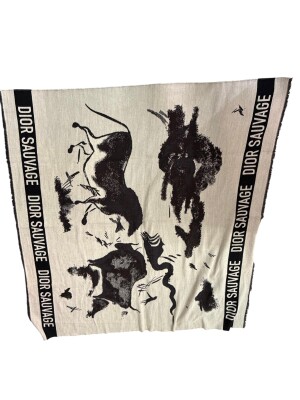 Dior scarf | LOOP-Marktplatz