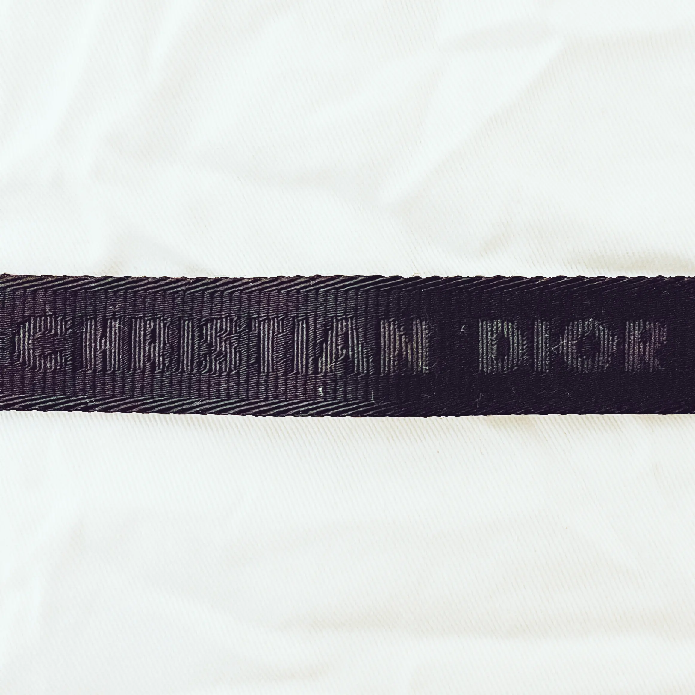 DIOR Alyx 25mm Rollercoaster Nylon Belt | LOOP Marketplace