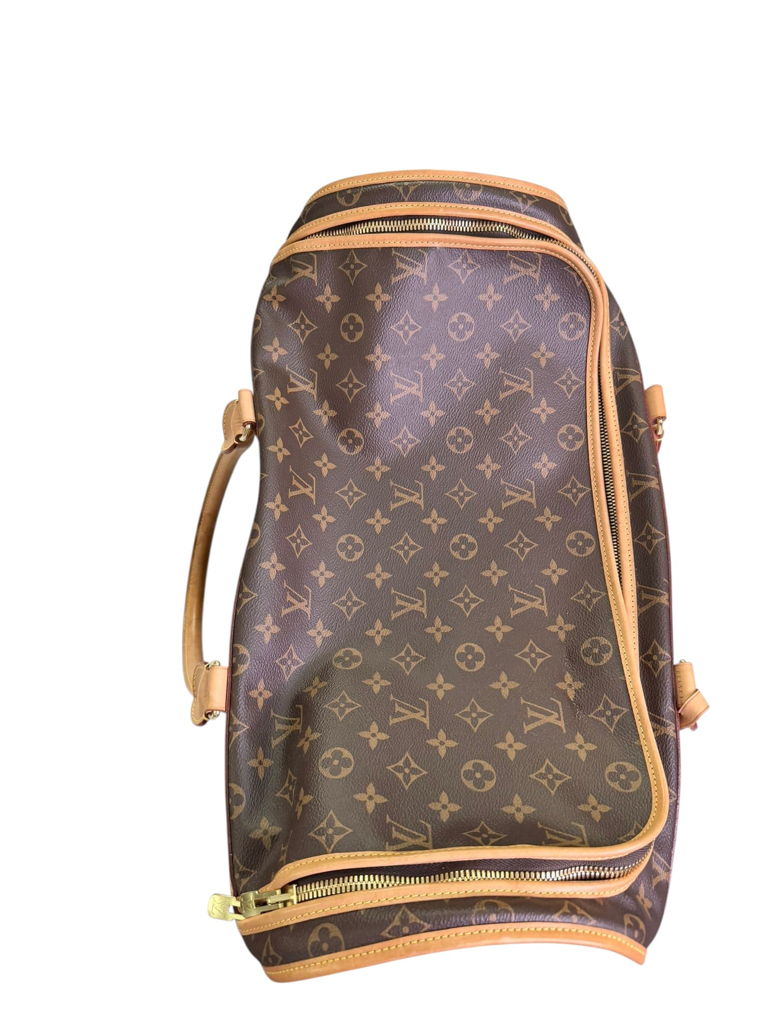 Louis Vuitton Dog Travel Bag