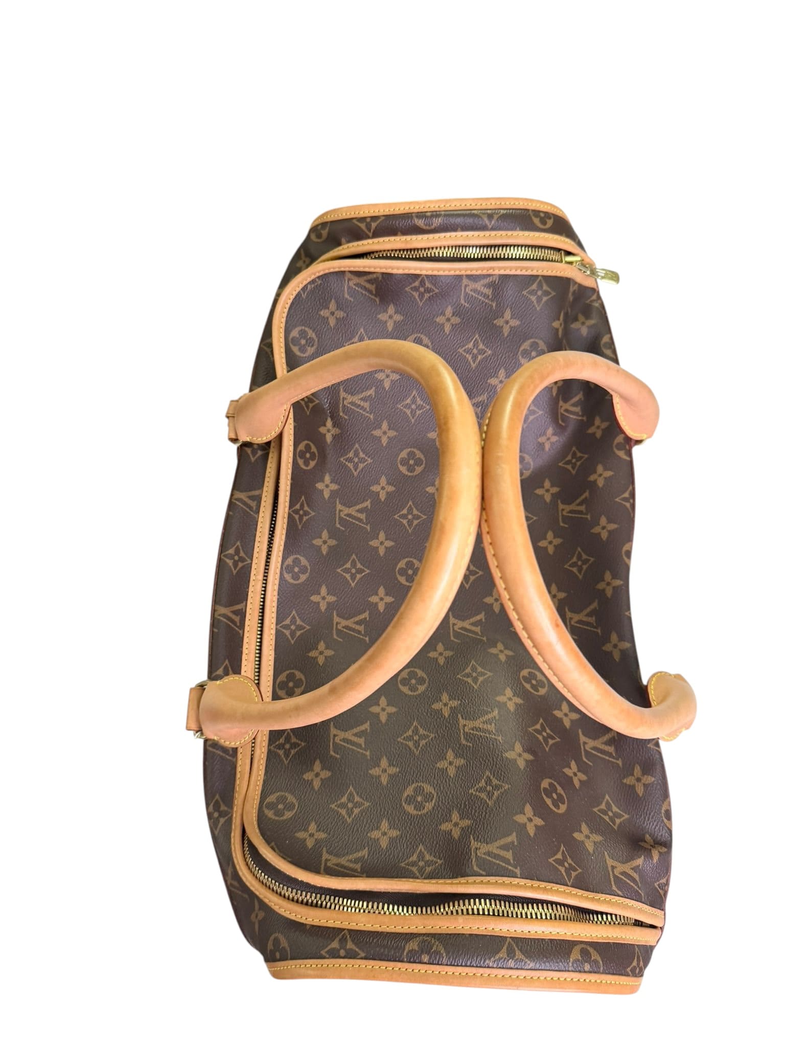 Louis Vuitton Dog Travel Bag