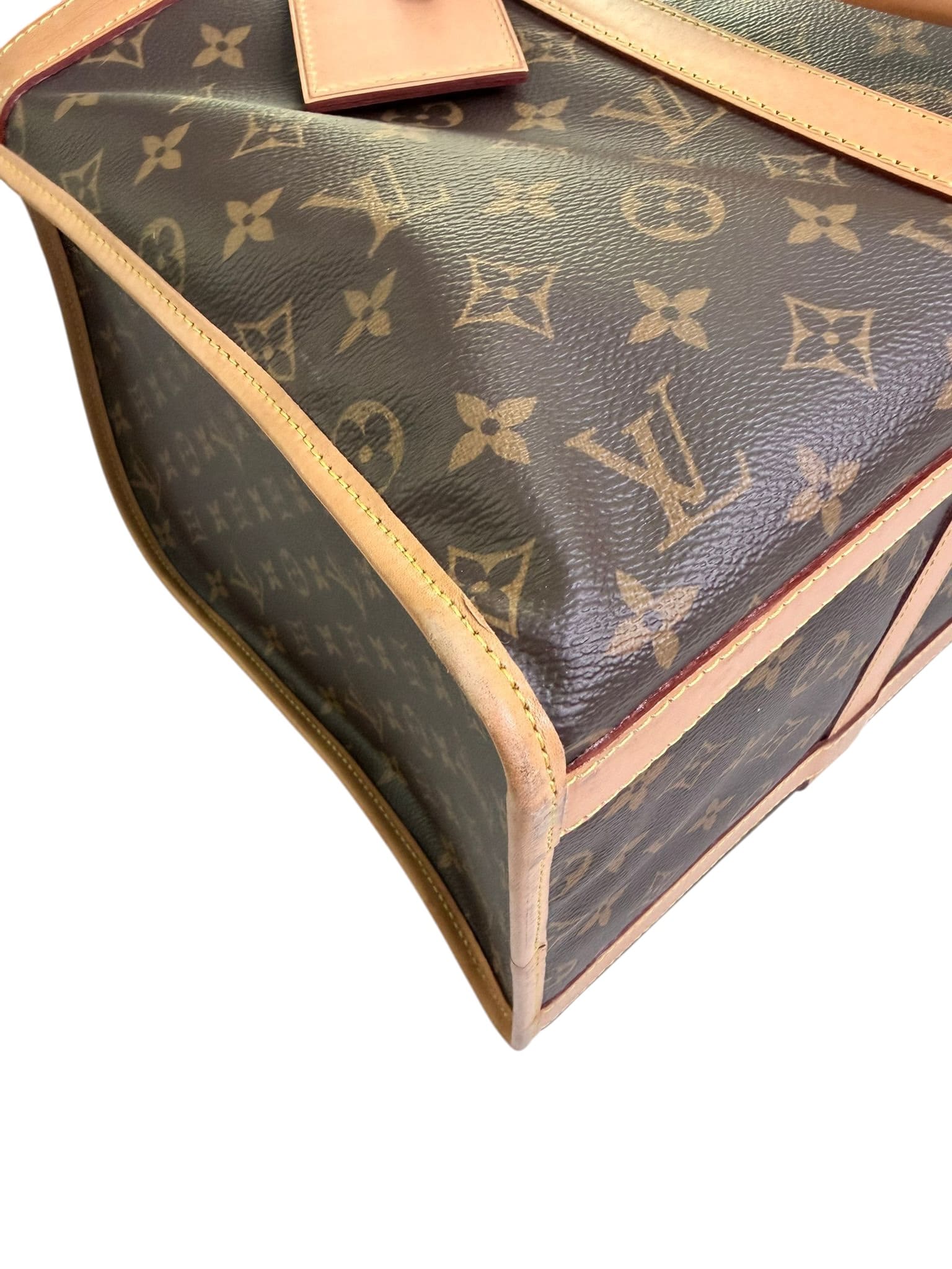 Louis Vuitton Dog Travel Bag