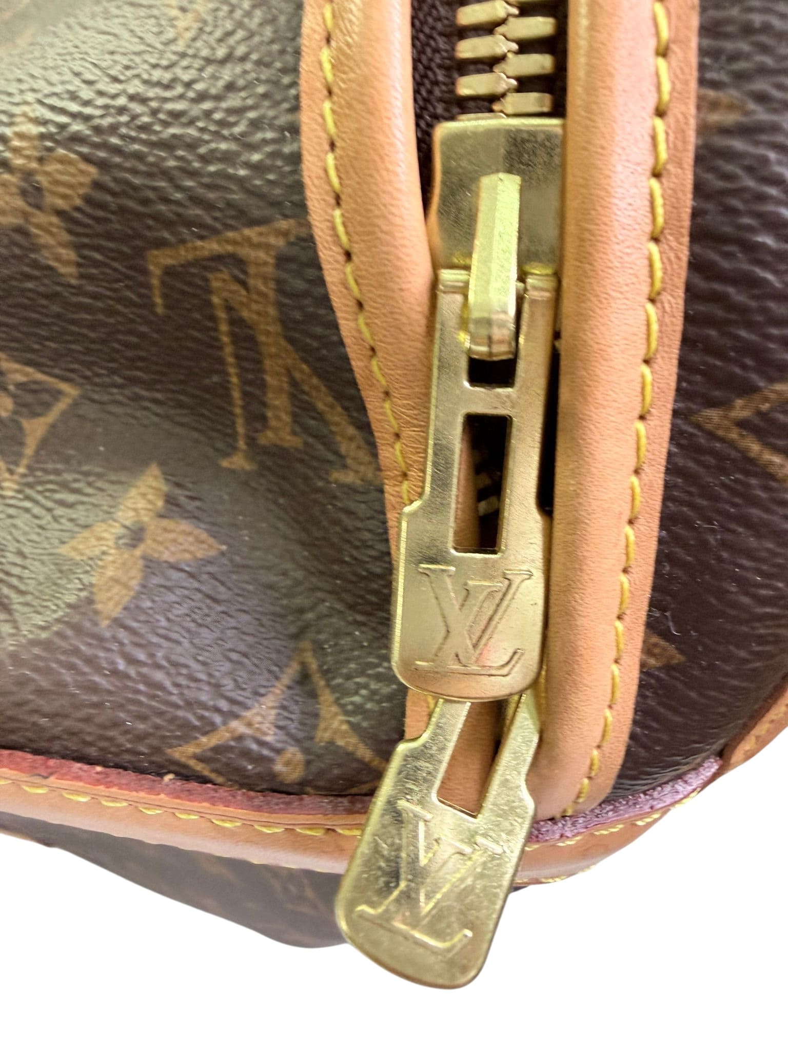 Louis Vuitton Dog Travel Bag | LOOP-Marktplatz