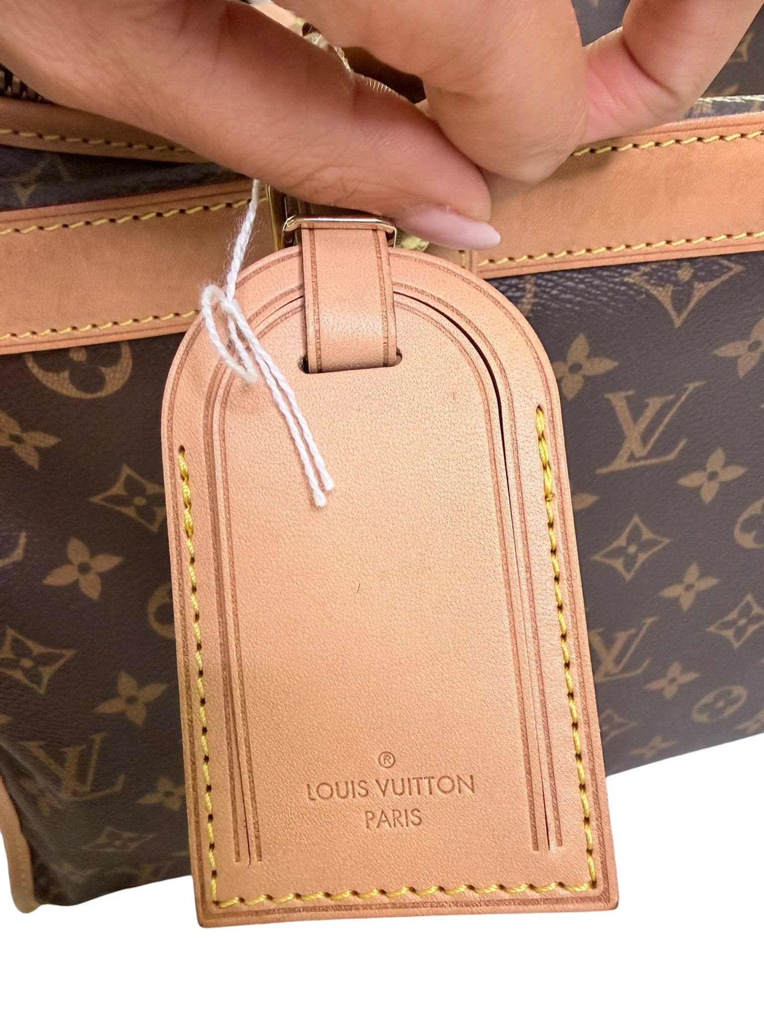 Louis Vuitton Dog Travel Bag