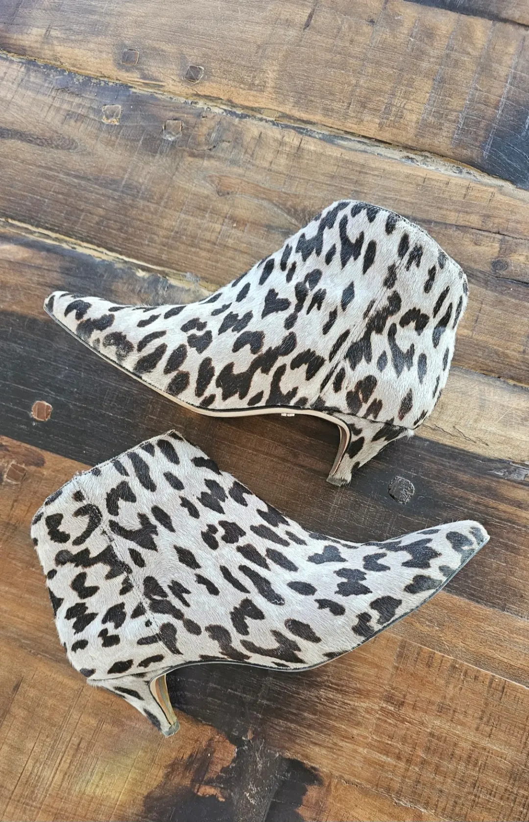 SAM EDELMAN, Stiefel mit Leopardenmuster | LOOP-Marktplatz