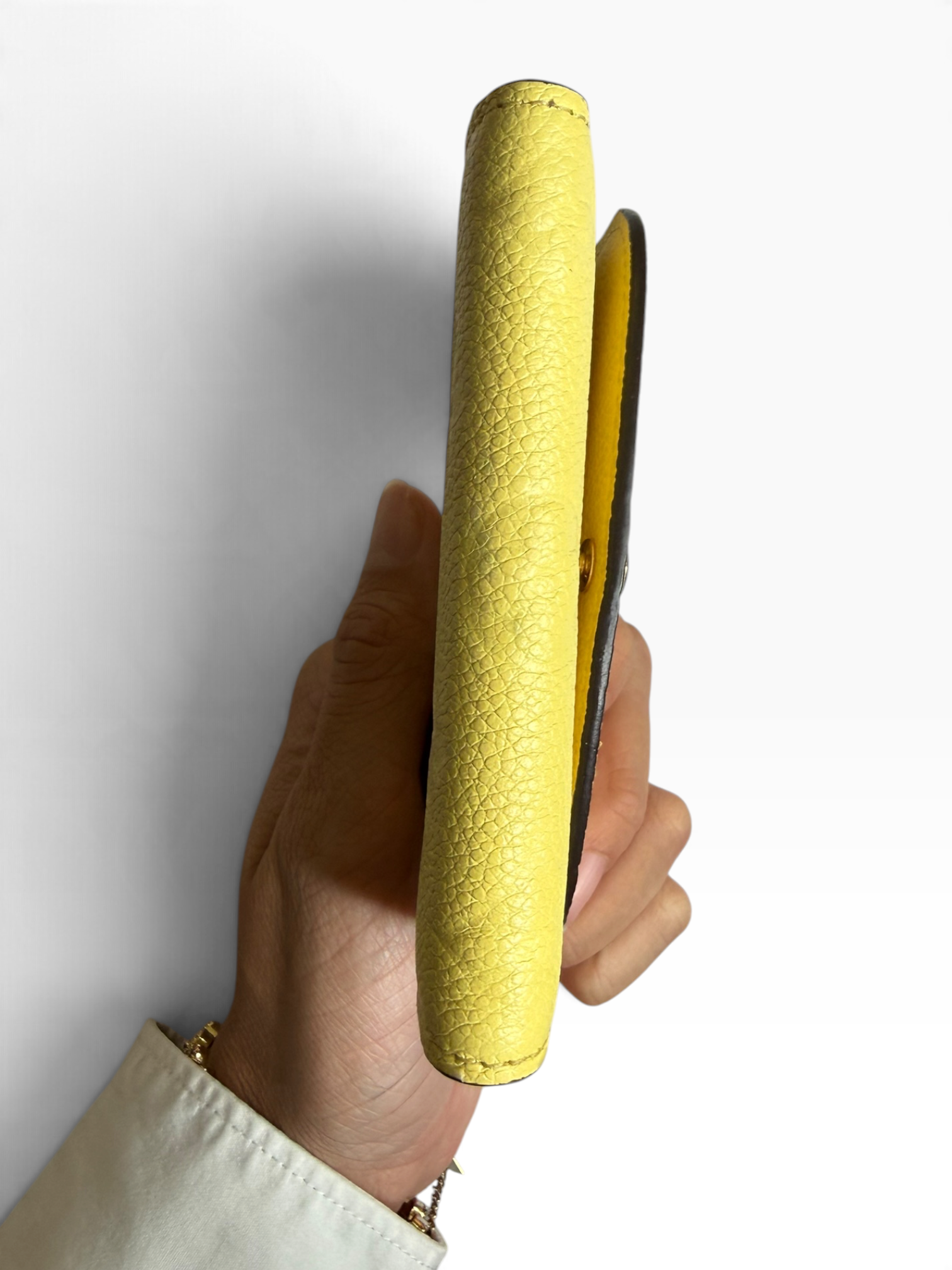 Louis Vuitton Kartenetui